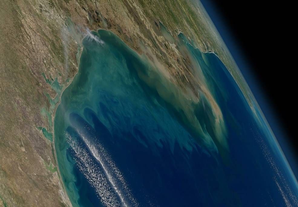 Satellite image of northern Gulf of Mexico, with phytoplankton blooms stretching from the Texas and Louisiana coast (left) across the Mississippi River delta (center) toward Florida